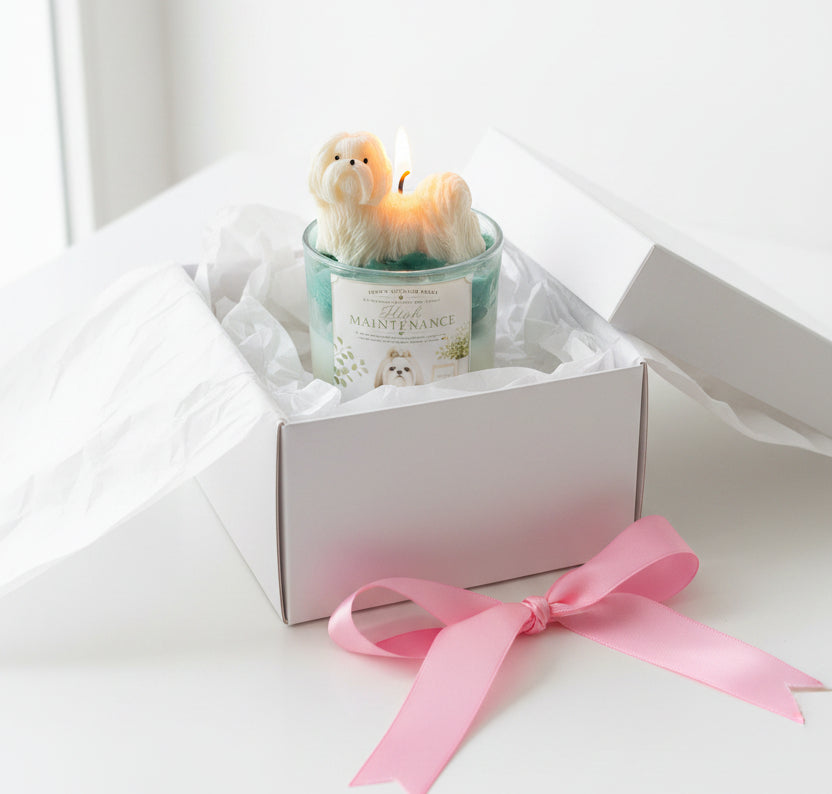 High Maintenance Shih Tzu candle in open white gift box with pink ribbon on clean white background luxury gift