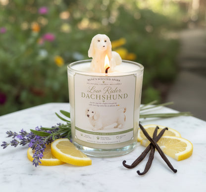 Candle with a dachshund design on the label, surrounded by lemons, lavender, and vanilla beans outdoors.