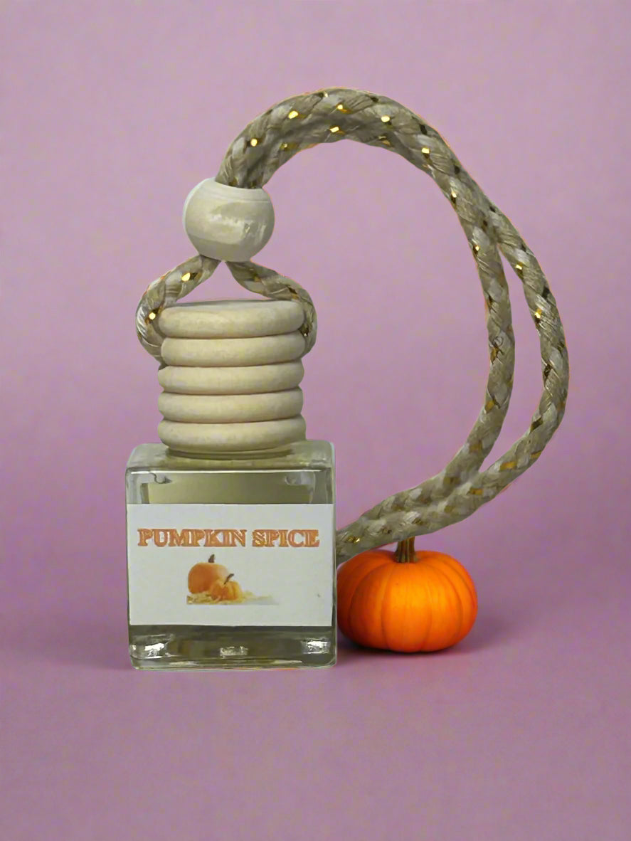 Pumpkin Spiced car fragrance diffuser