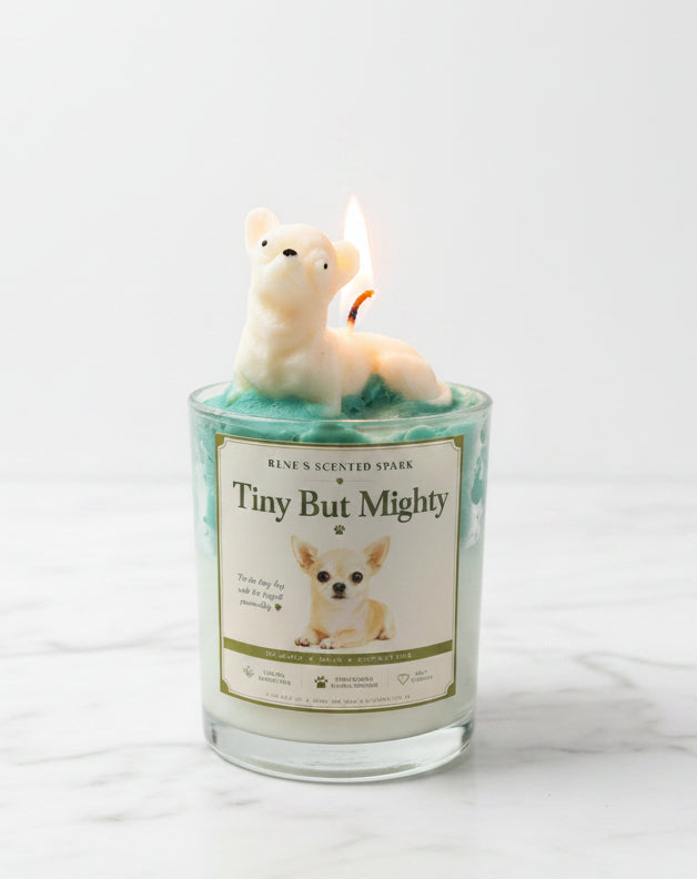 Tiny But Mighty Chihuahua candle in glass jar with teal green whipped wax and cream dog wax topper on white surface