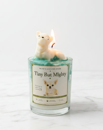 Tiny But Mighty Chihuahua candle in glass jar with teal green whipped wax and cream dog wax topper on white surface