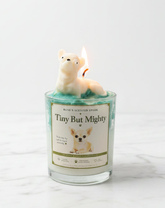 Tiny But Mighty Chihuahua candle in glass jar with teal green whipped wax and cream dog wax topper on white surface