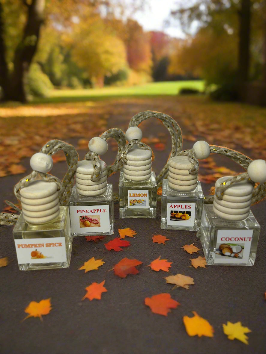 Scented Car Fresheners – Long-Lasting On-the-Go Scents